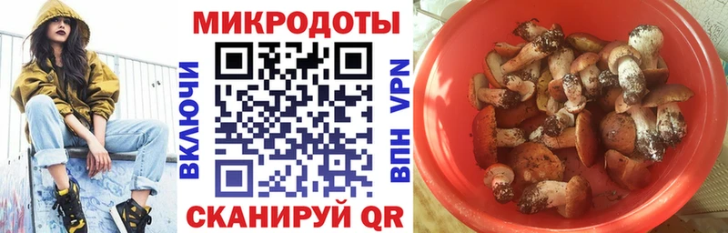 Псилоцибиновые грибы Psilocybine cubensis  Осинники 